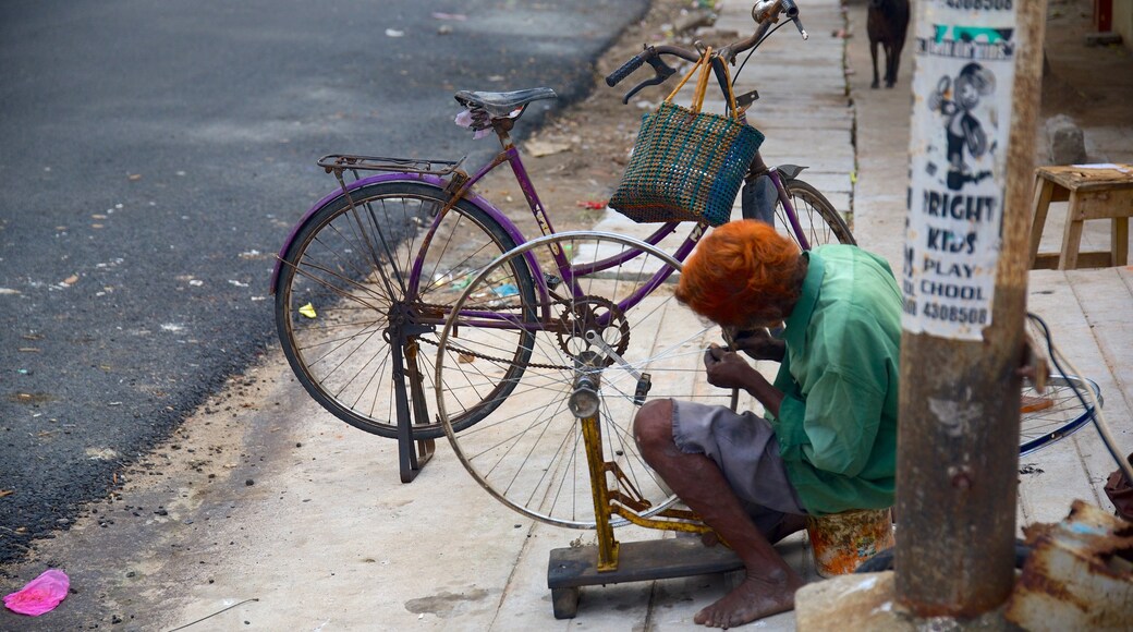 Pondicherry as well as an individual male
