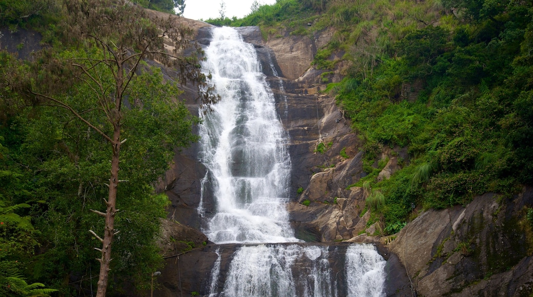 Cascada de Plata que incluye una cascada