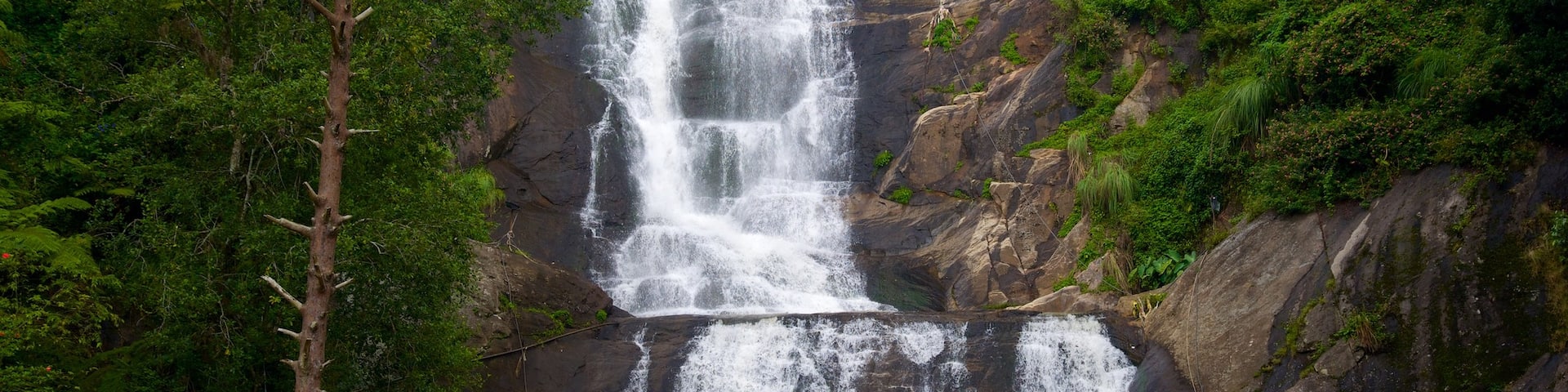 Silver Cascade showing a waterfall