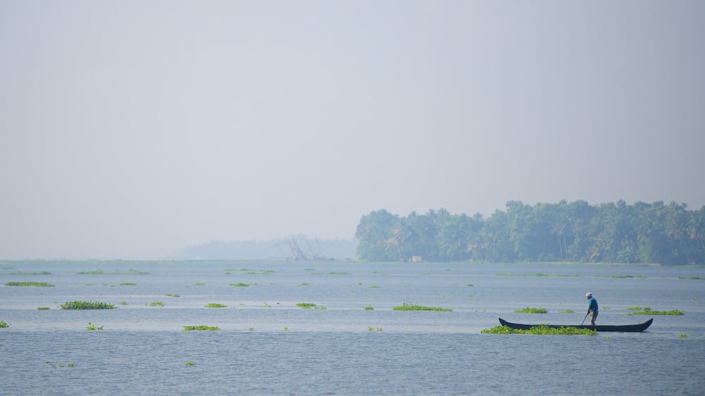 Kumarakom montrant lac ou étang
