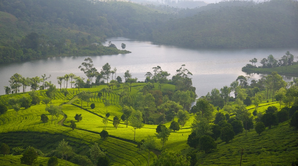 Munnar mostrando escenas tranquilas y un lago o espejo de agua