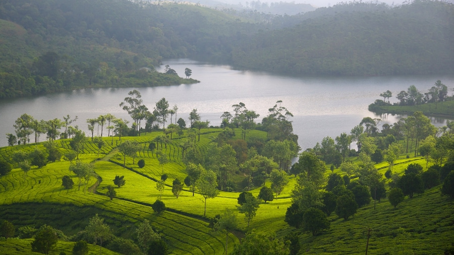 Munnar bevat vredige uitzichten en een meer of poel