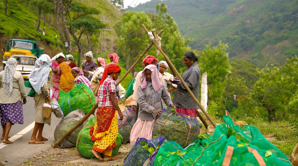 Munnar mit einem ruhige Szenerie sowie kleine Menschengruppe