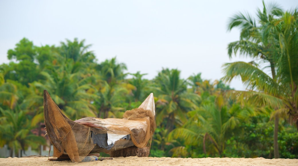 Marari Beach showing a beach