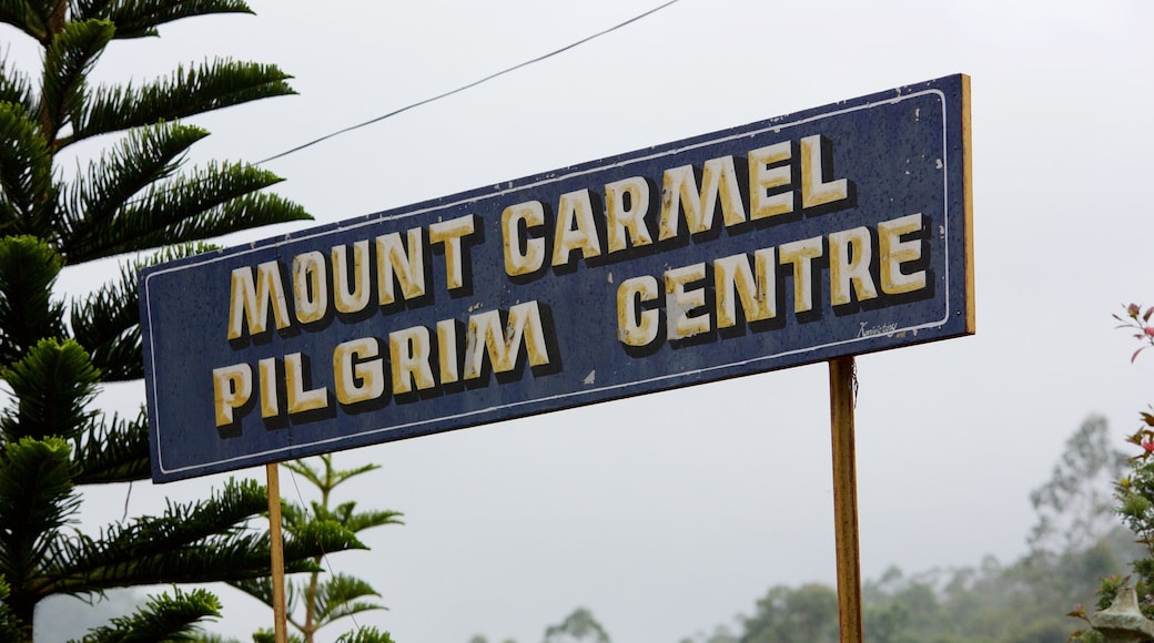 Mount Carmel Church featuring signage