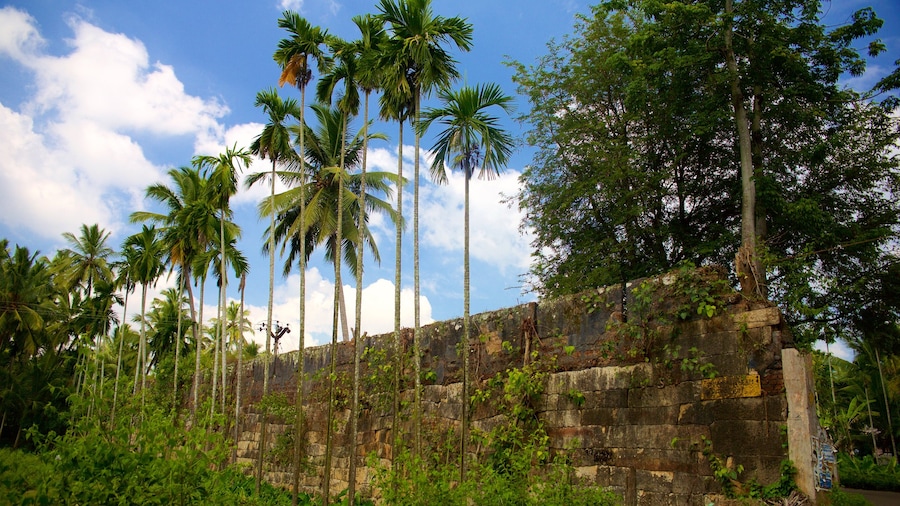 Padmanabhapuram Palace which includes a ruin