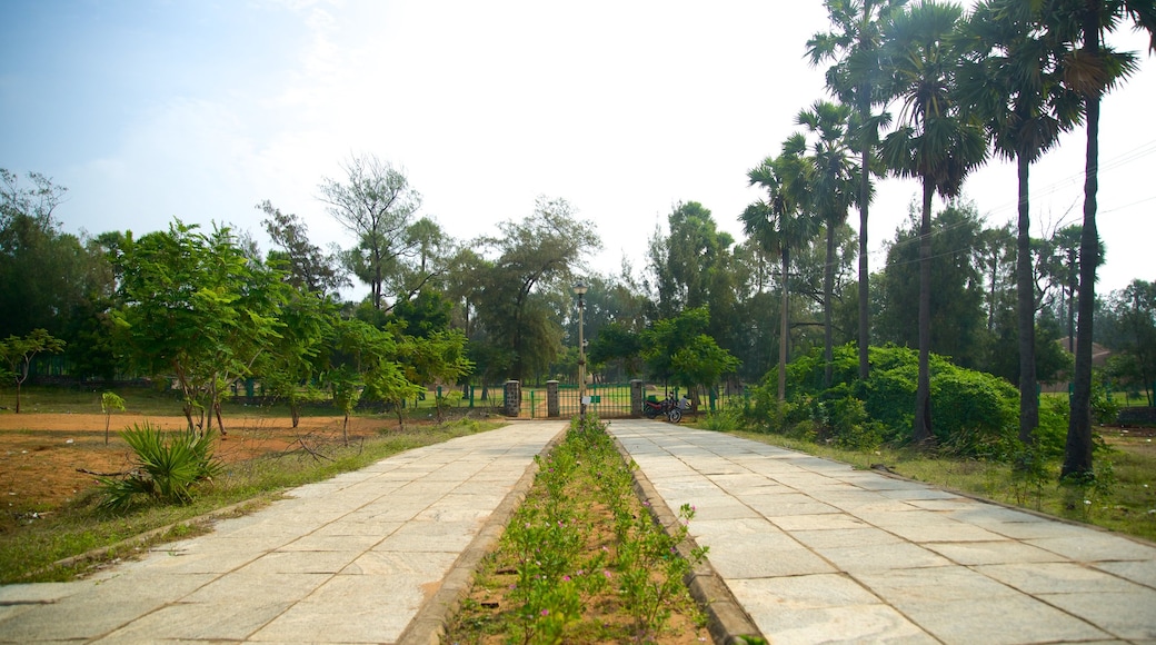 Tiger Cave which includes a park