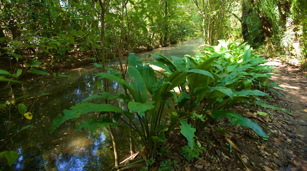 Kumarakom Bird Sanctuary featuring a river or creek