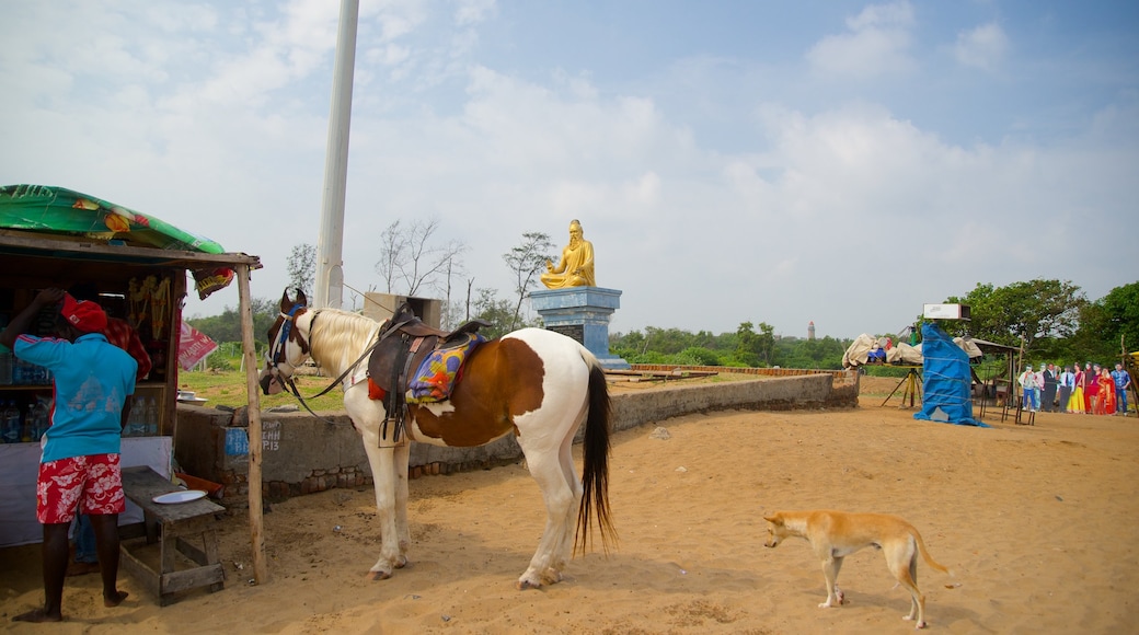 Praia de Mamallapuram mostrando cenas tranquilas, animais e animais fofos ou amigáveis