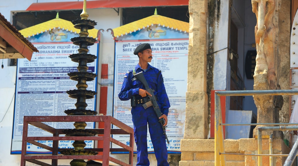 Padmanabhaswami Temple showing military items as well as an individual male