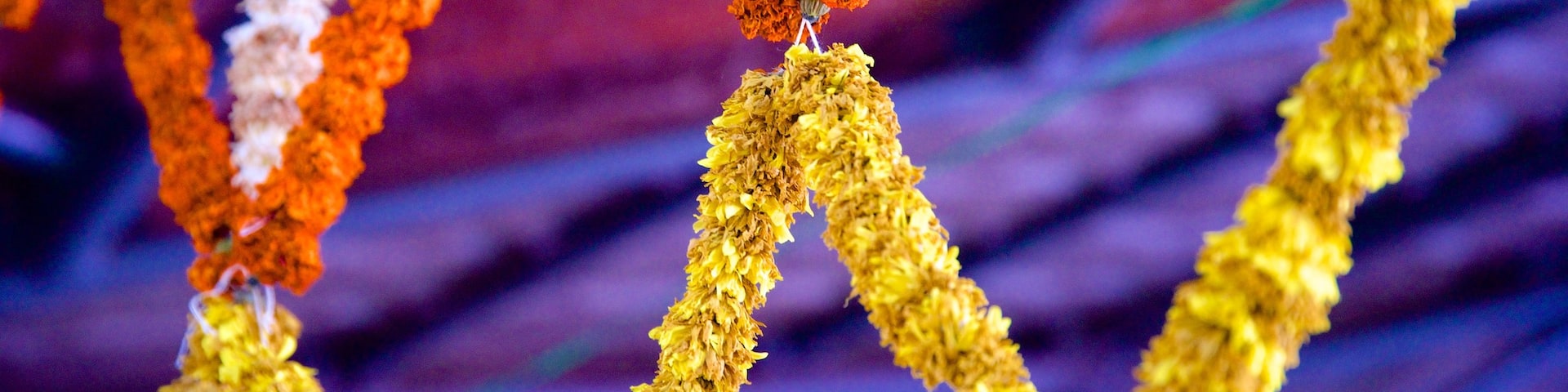 Malappuram District showing religious elements