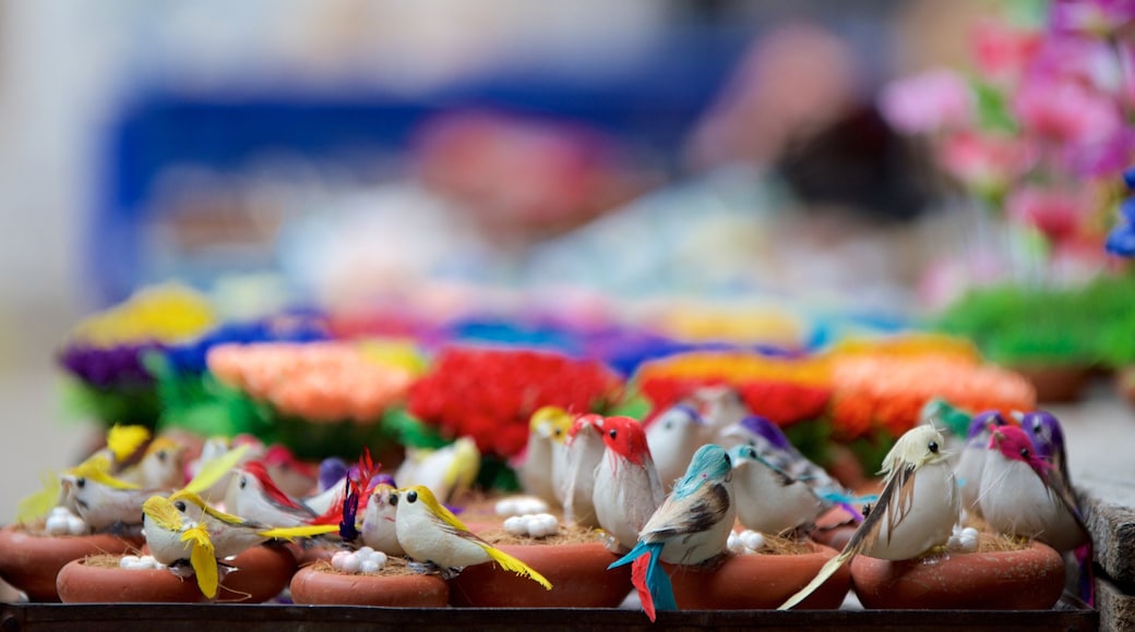 Pondicherry featuring markets