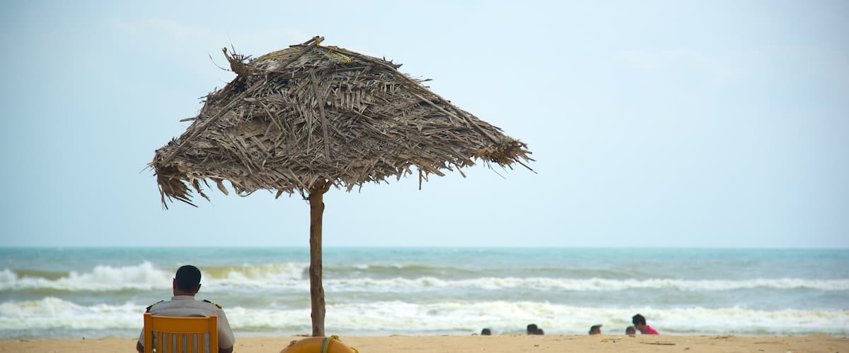Pondicherry montrant plage aussi bien que homme