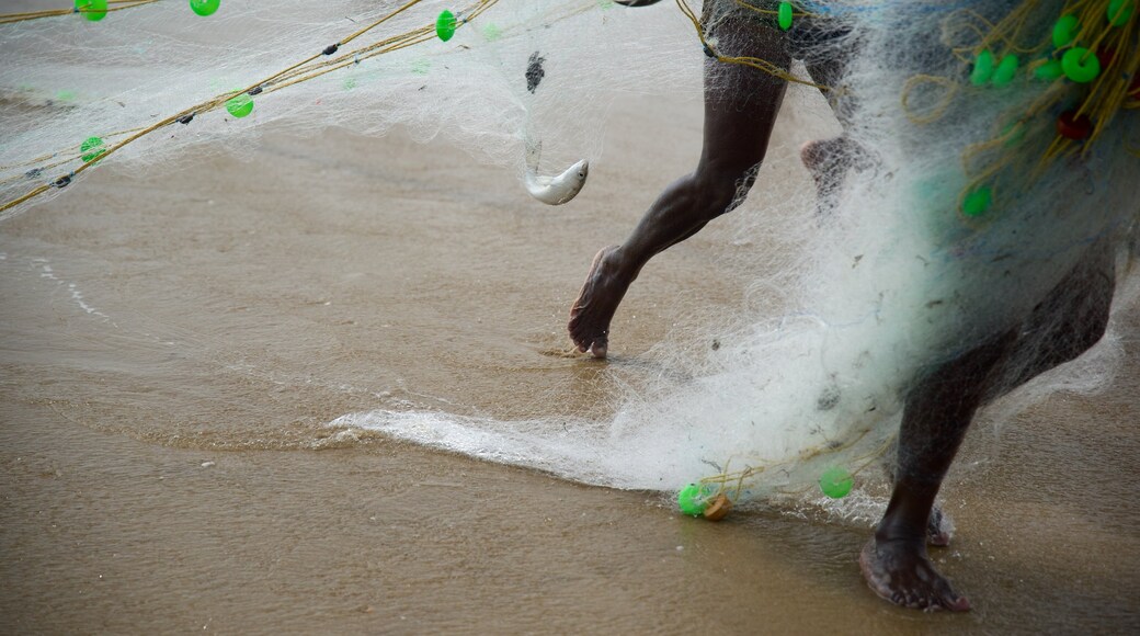 Pondicherry showing a beach and fishing