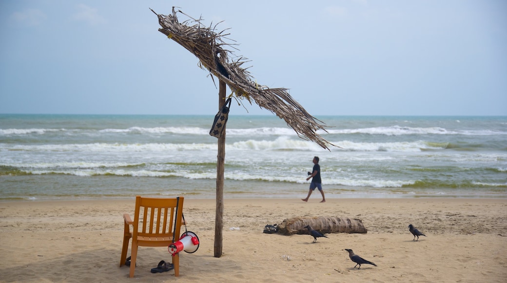 Pondicherry showing a beach as well as an individual male