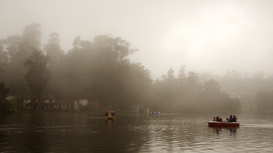 Kodaikanal bevat een meer of poel en kajakken of kanoën