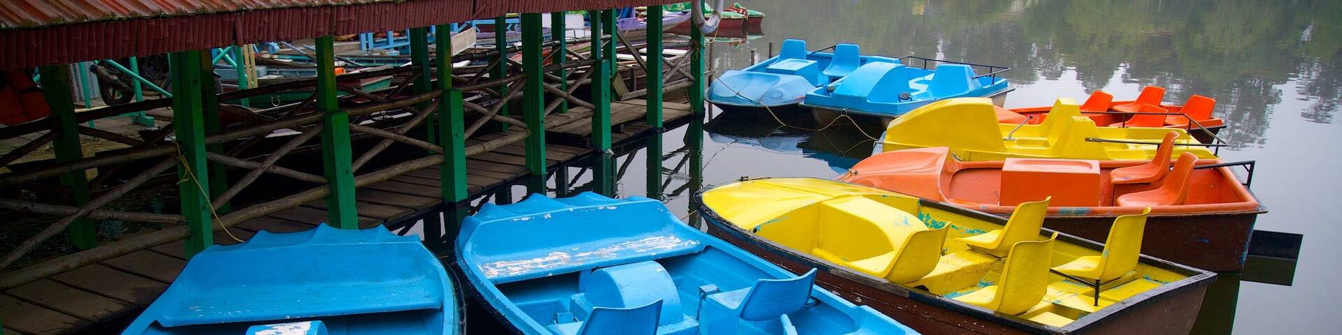 Kodaikanal which includes a lake or waterhole