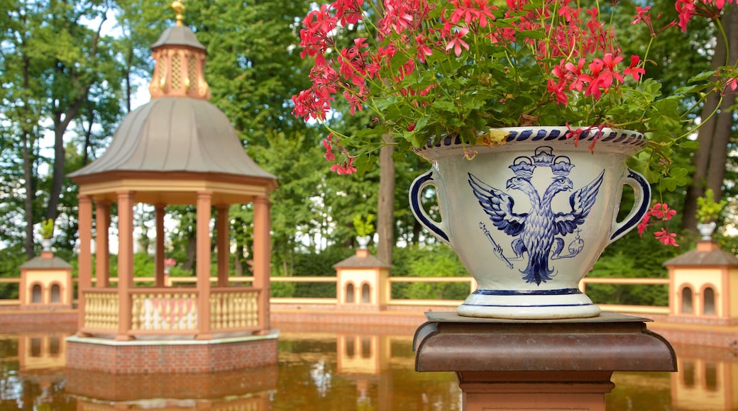 Summer Garden showing flowers and a pond