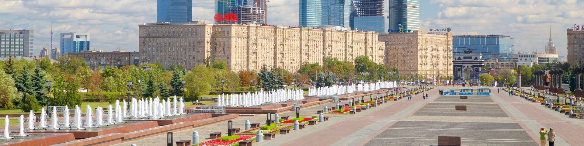 Victory Park showing a city