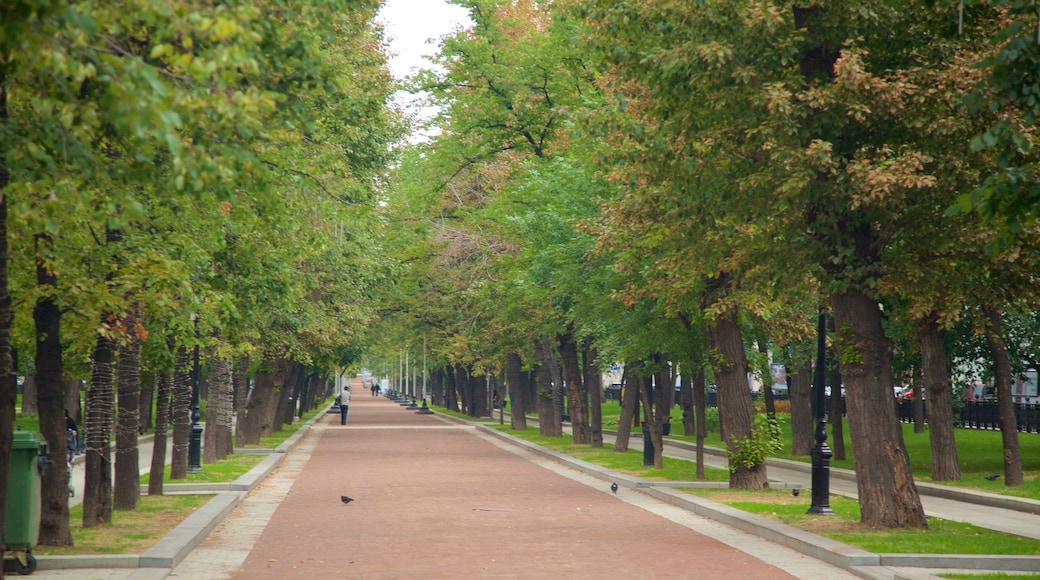 Moscow showing a park