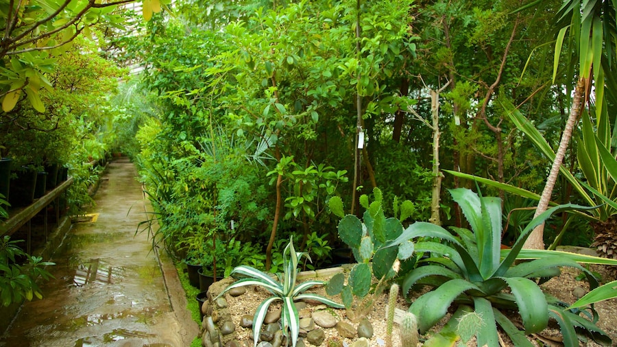Botanische tuinen van Moskou bevat een park