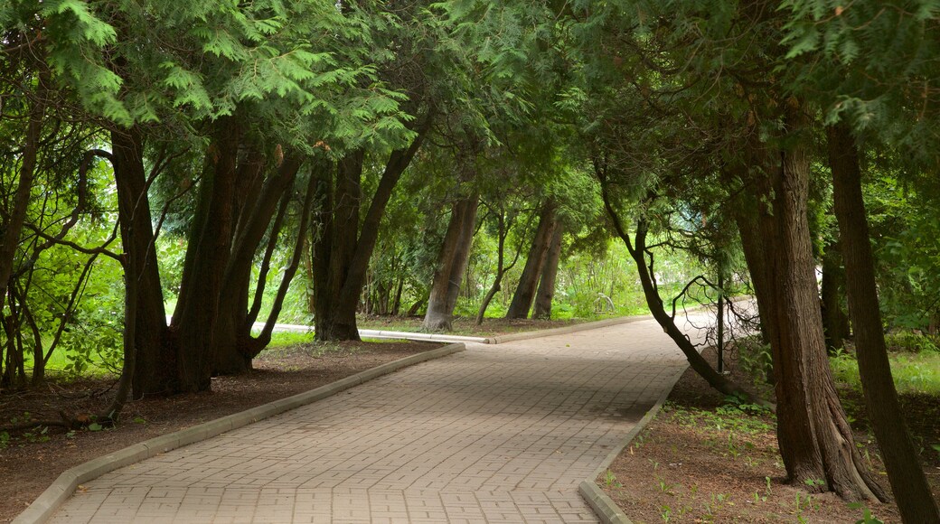 Botanischer Garten Sankt Petersburg welches beinhaltet Park