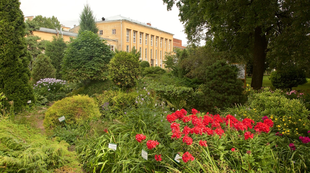 Jardim Botânico de São Petersburgo que inclui flores e um jardim