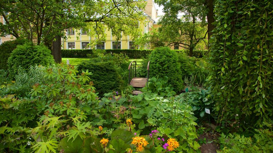 St. Petersburg Botanical Garden featuring a park