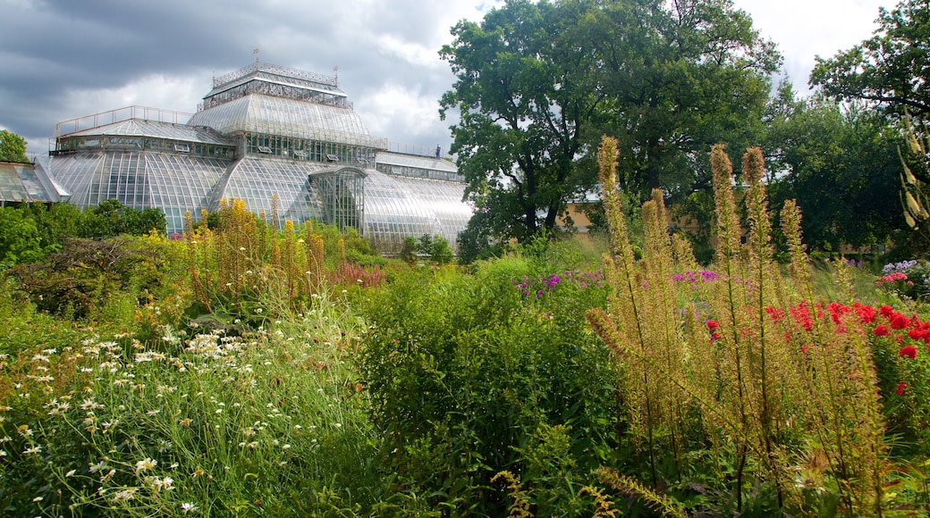 Jardines botánicos de San Petersburgo mostrando un jardín