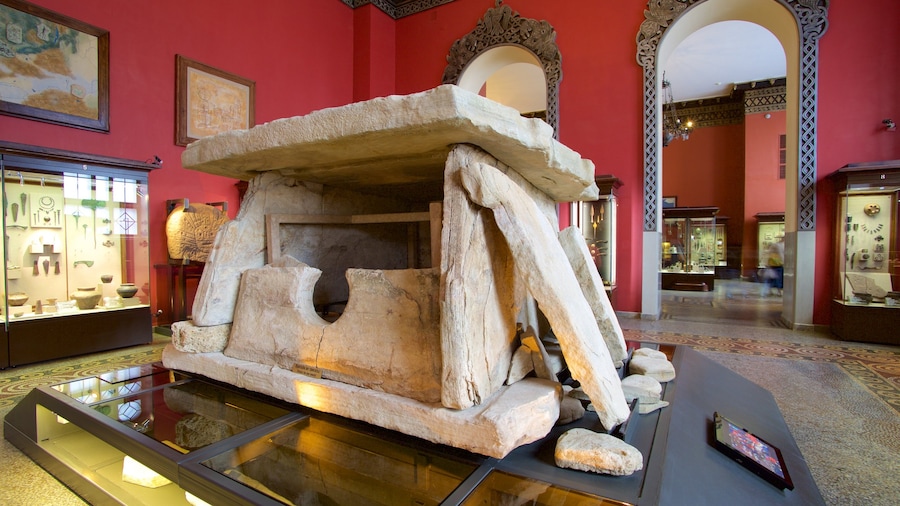 Museo di Storia che include vista interna