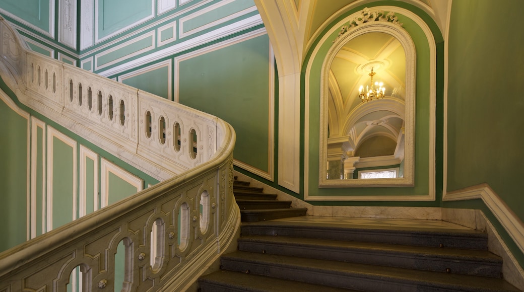 Anichkov Palace showing interior views and château or palace