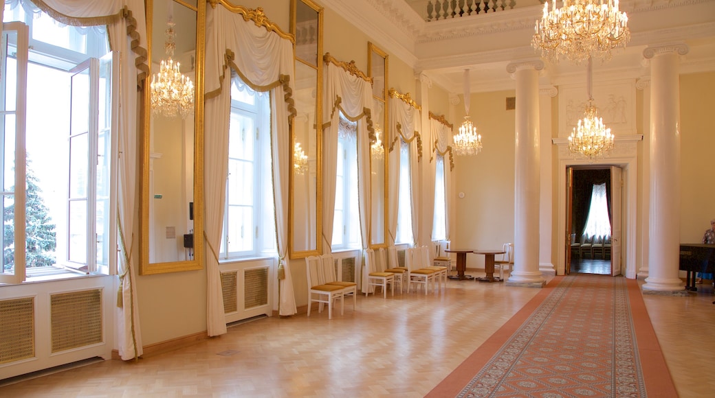 Anichkov Palace featuring interior views and chateau or palace