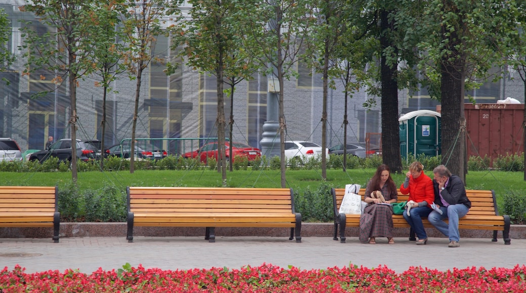 Praça Pushkin que inclui um jardim assim como um pequeno grupo de pessoas