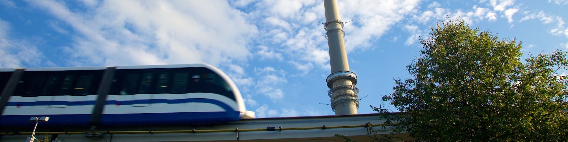 Ostankino TV Tower featuring railway items