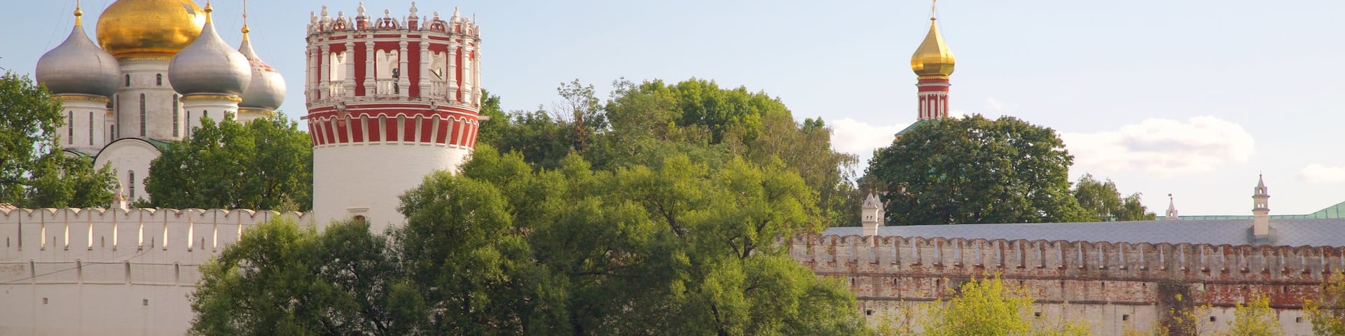 Novodevichy Convent showing heritage architecture