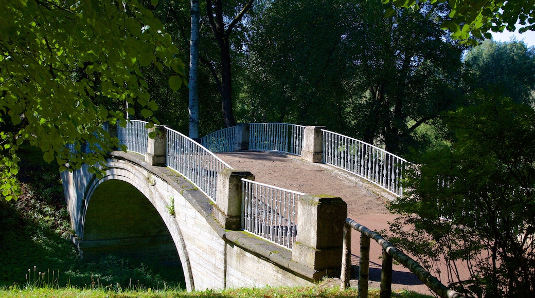 Pavlovsk Palace and Park showing a bridge