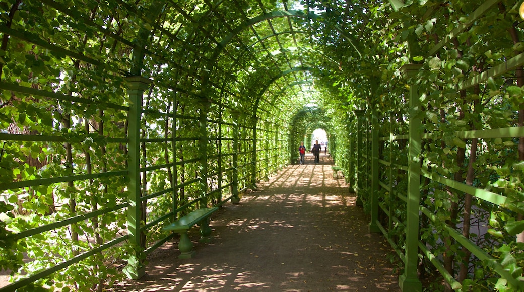 Jardín de verano que incluye un parque