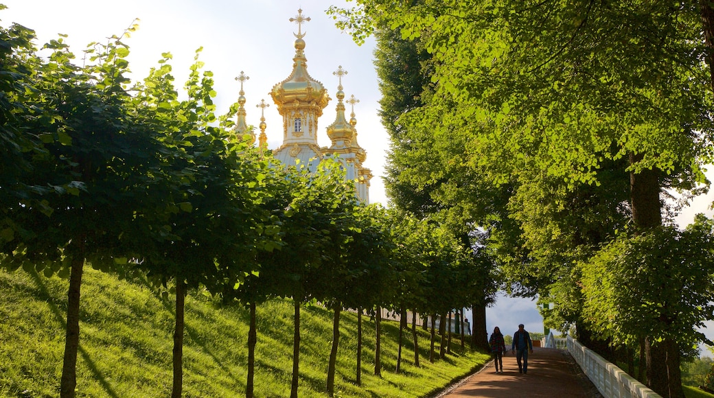 Peterhof palass og hage som viser hage