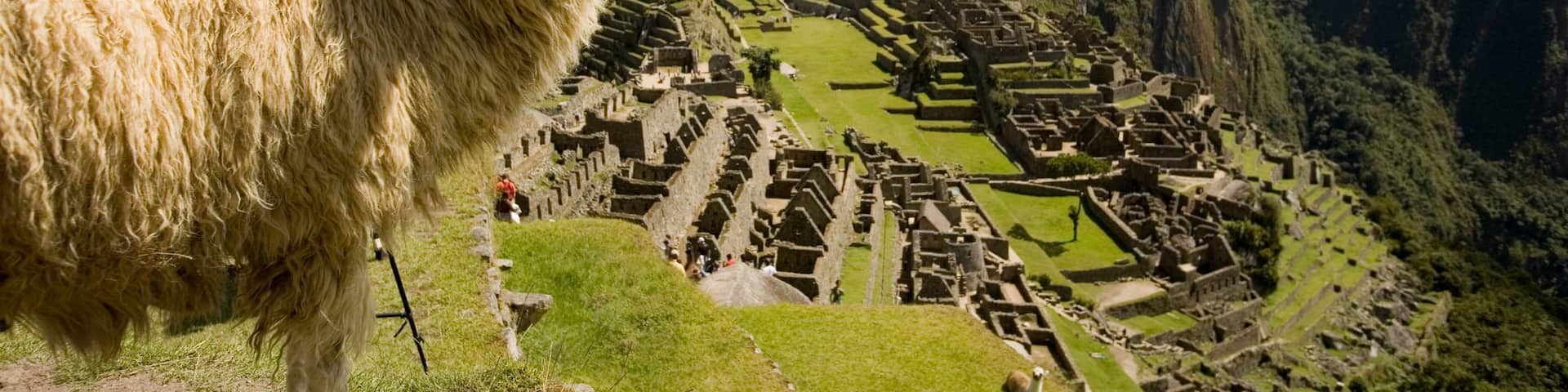 Huayna Picchu which includes animals, mountains and tranquil scenes