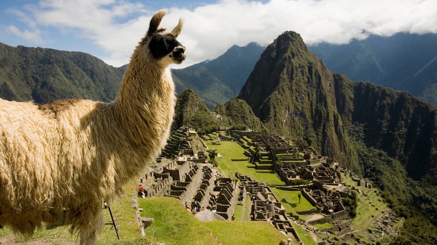 Huayna Picchu featuring heritage elements, tranquil scenes and animals