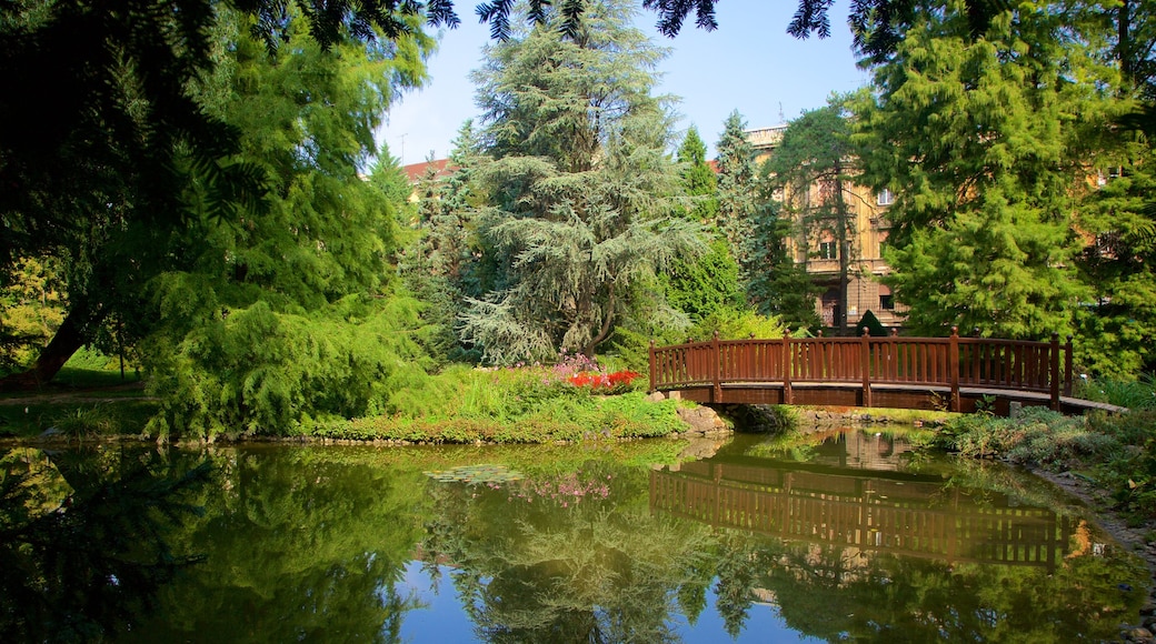 Jardín botánico que incluye un estanque y un parque