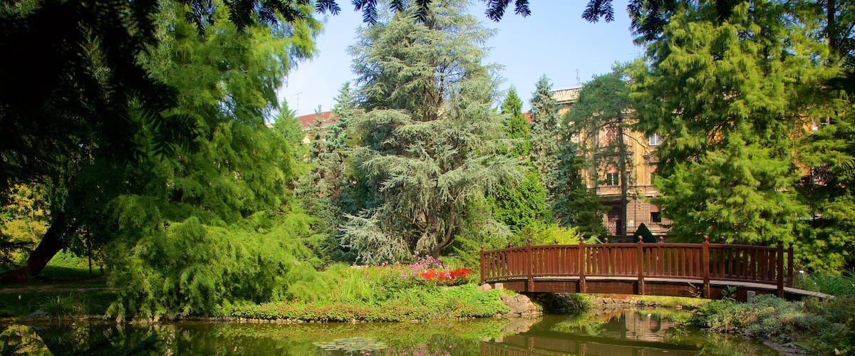 Jardín botánico ofreciendo un estanque y un parque