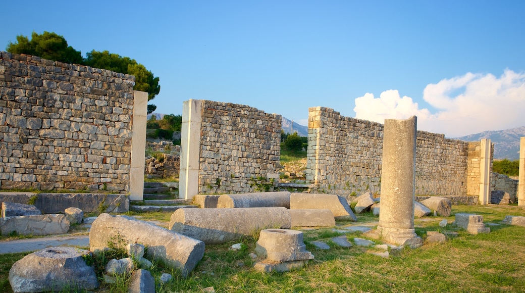 Ruines de Salone mettant en vedette bâtiments en ruines et patrimoine historique