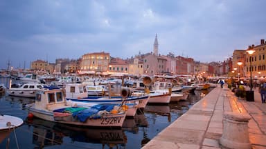 Rovinj featuring a marina and a city