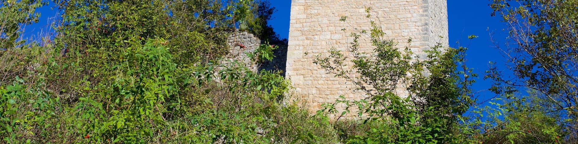 Dvigrad which includes chateau or palace