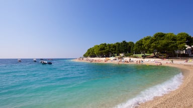 Primosten Strand som omfatter en stenstrand