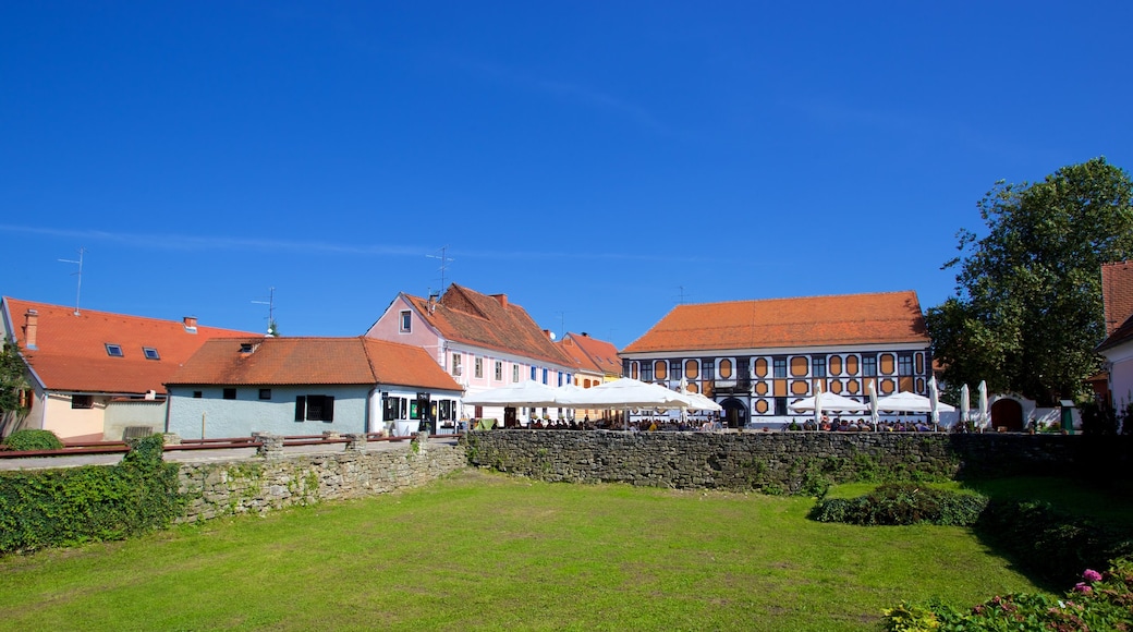 Varazdin showing a park