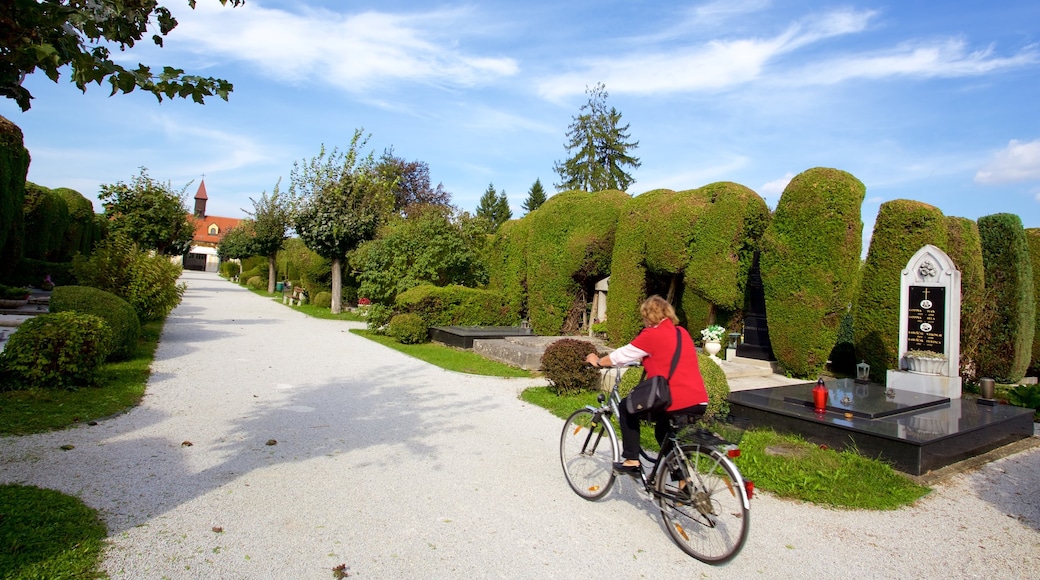 Varaždin mit einem Park und Fahrradfahren