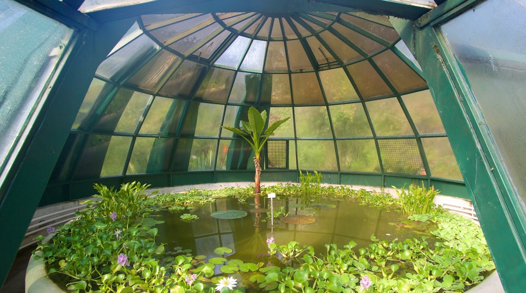 Jardín botánico ofreciendo un parque y un estanque