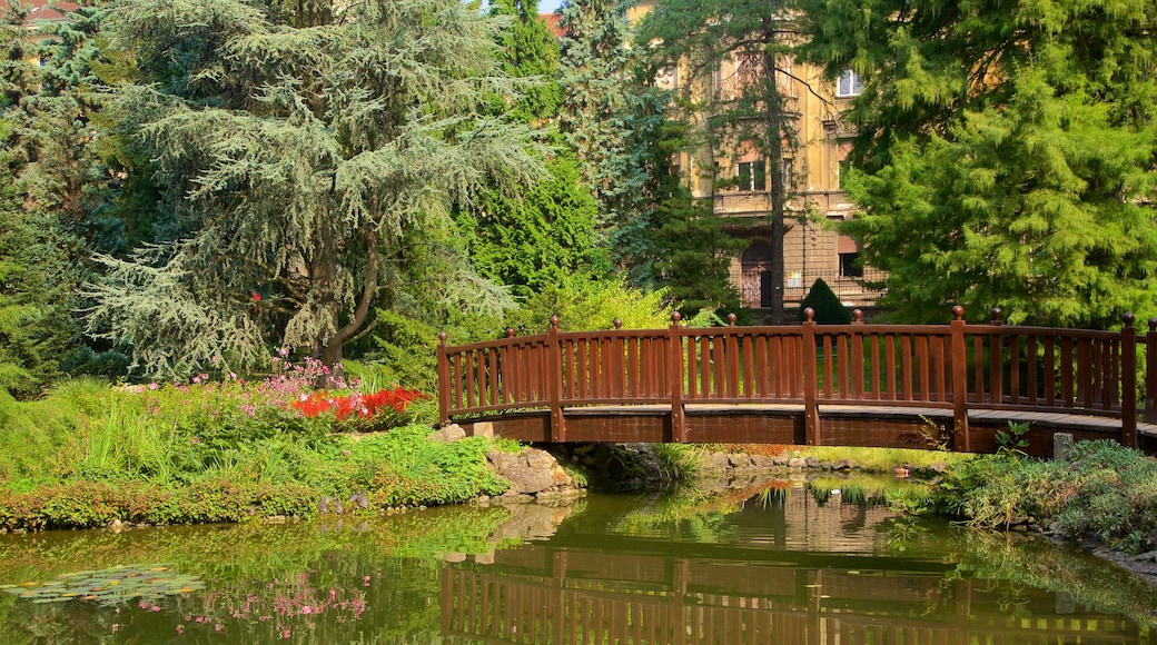 Botanisk hage som viser dam og hage